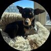 sammillie123